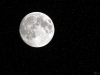 mond_1