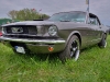 mustang-hdr